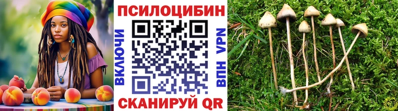 Галлюциногенные грибы Psilocybine cubensis  MEGA вход  Химки 